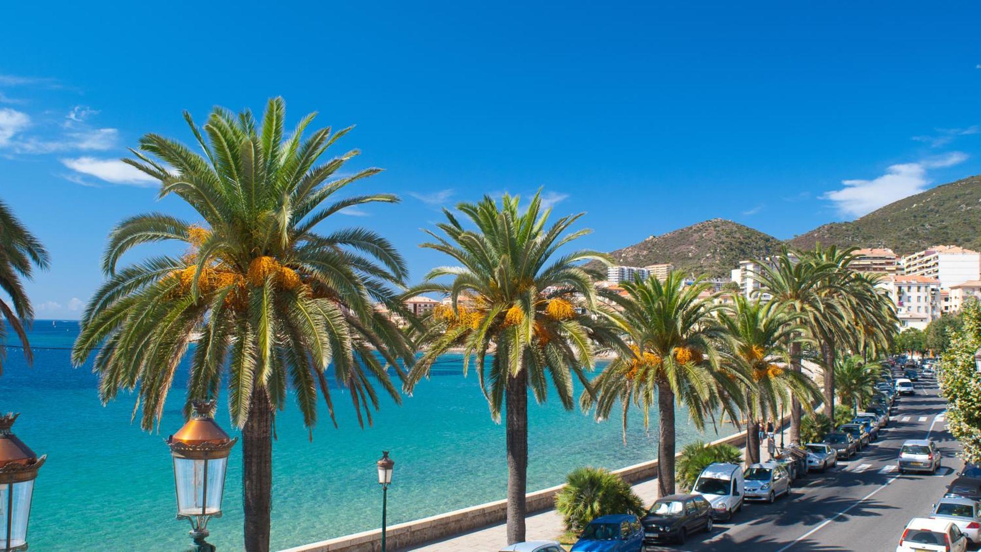Evasion Corse - T2 Vue Mer, Piscine &
