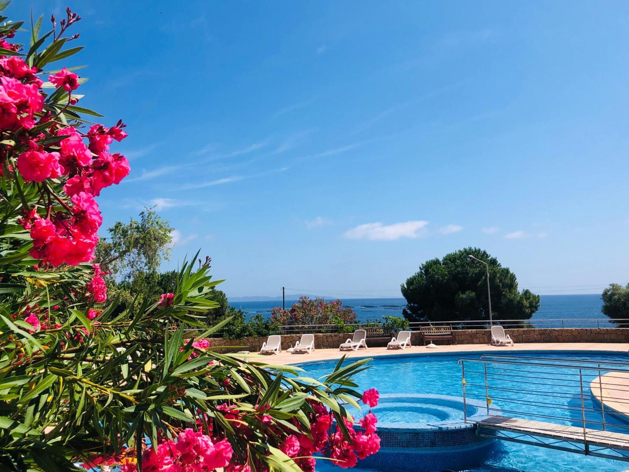 Evasion Corse - T2 Vue Mer, Piscine & * Ajaccio (Corsica)